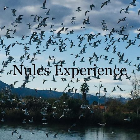 Apartamento Nules Experience Mascarell 외부 사진