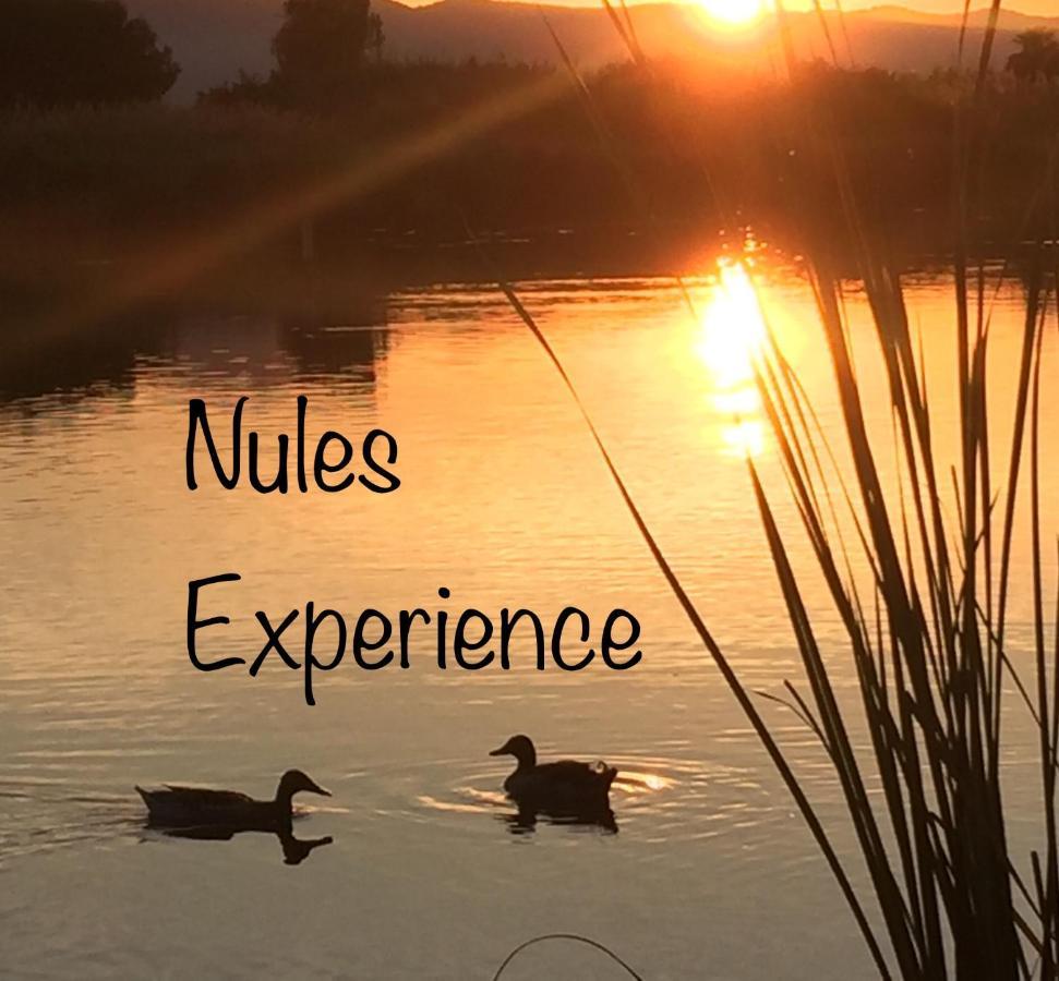 Apartamento Nules Experience Mascarell 외부 사진